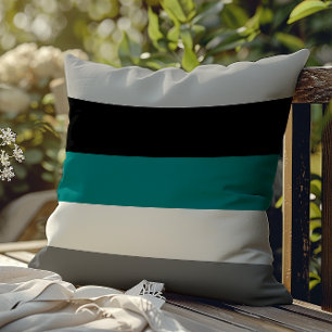 Modern Colour Block Stripes Teal Grey Black White Cushion