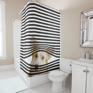 Modern combination funny dog Photo Stripes  Shower Curtain