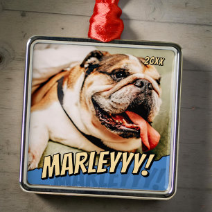 Modern Comic Simple Cool Custom Pet Photo Metal Ornament
