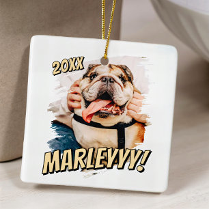 Modern Comic Simple Grunge Custom Pet Photo Ceramic Ornament