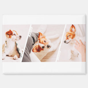 Modern Cool 3 Photo Names Collage Multi Pet Owner Magnet
