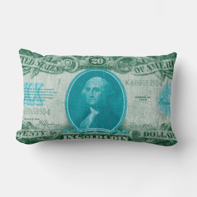 Modern Currency V Lumbar Cushion (Front)