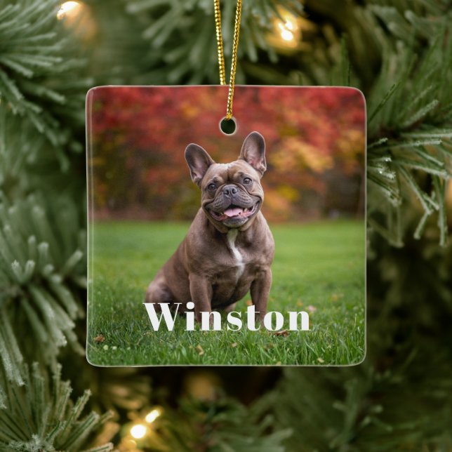 Modern Custom Pet Name Photo Holiday Ceramic Ornament (Tree)