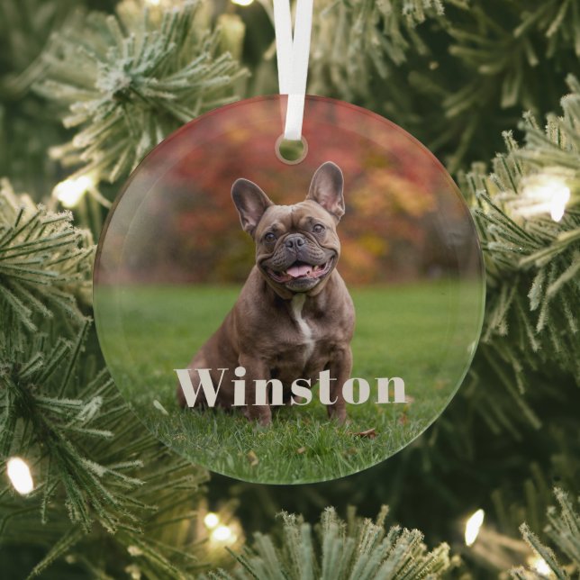 Modern Custom Pet Name Photo Holiday Glass Tree Decoration (Insitu)
