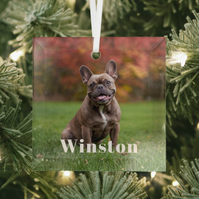 Modern Custom Pet Name Photo Holiday Glass Tree Decoration (Insitu)