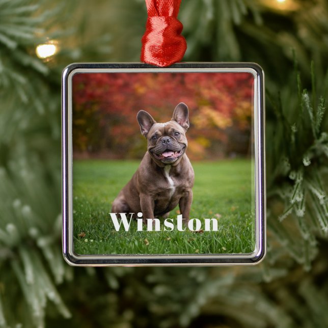 Modern Custom Pet Name Photo Holiday Metal Ornament (Tree)