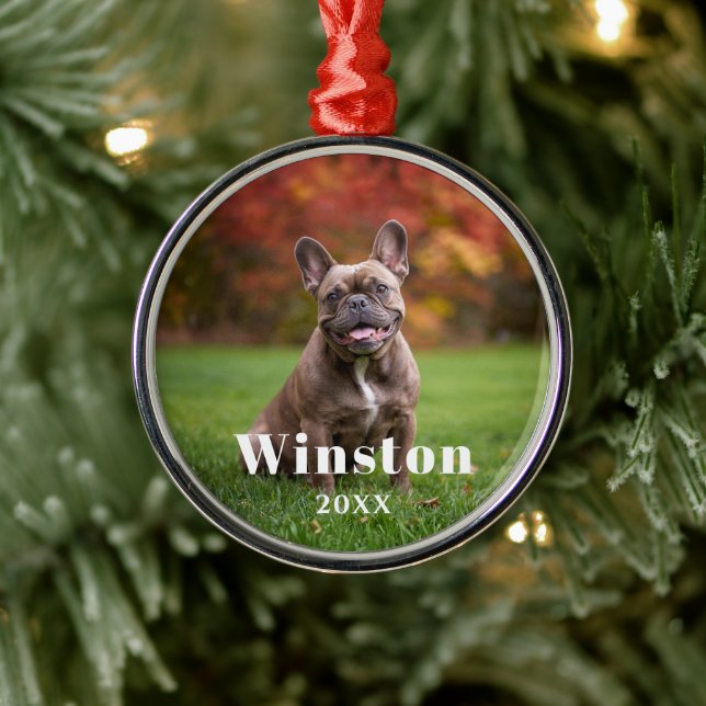 Modern Custom Pet Name Year Photo Holiday Metal Ornament (Tree)