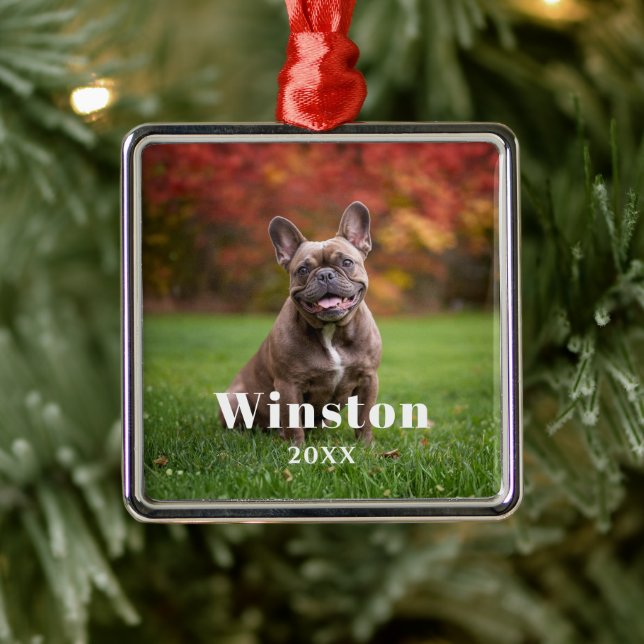 Modern Custom Pet Name Year Photo Holiday Metal Ornament (Tree)