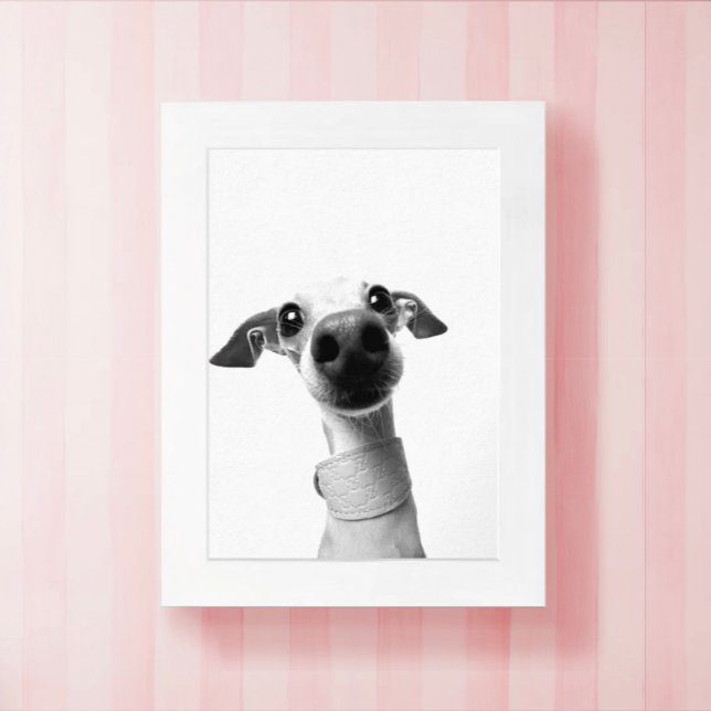 Modern Custom Pet Photo | Meeko Poster (Creator Uploaded)
