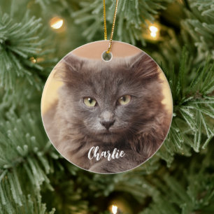 Modern Custom Photo Pet Name  Ceramic Ornament