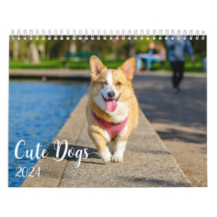 Modern Cute Dog Photos 2024 Calendar