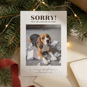 Modern Cute Funny Dog Photo Christmas Holiday Card