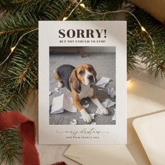 Modern Cute Funny Dog Photo Christmas Holiday Card