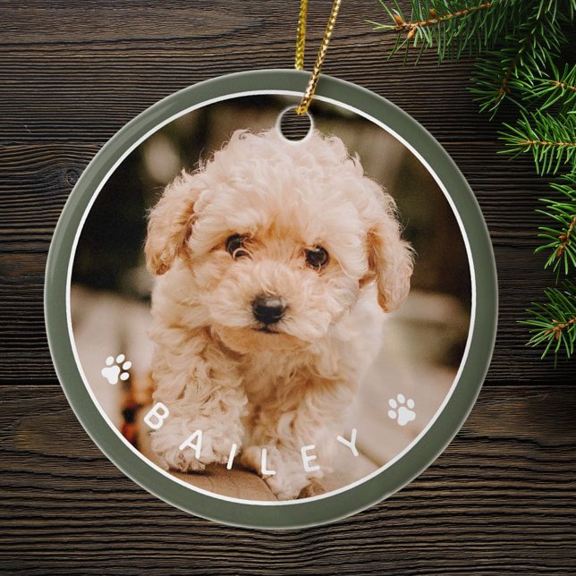 Modern Cute Paws Family Pet Photo Ceramic Ornament (Creator Uploaded)