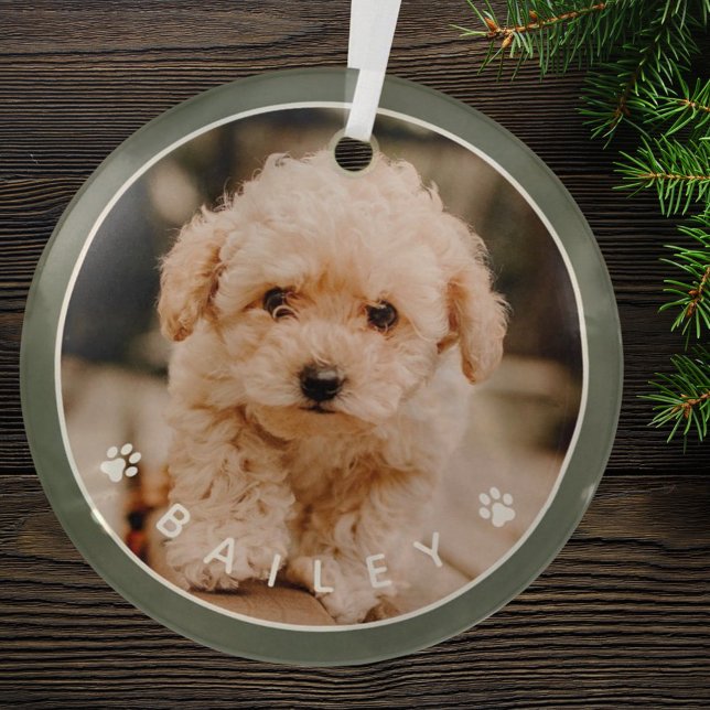 Modern Cute Paws Family Pet Photo Glass Tree Decoration (Creator Uploaded)