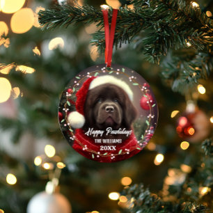 Modern cute pet dog Happy Holidays 2-Sided 2-Photo Ornament