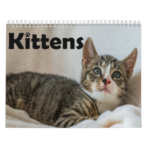 Modern Cute Pet Kitten Cat Photos Yearly  Calendar