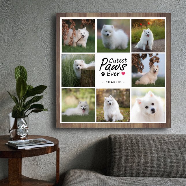 Modern Cutest Paws Ever Cute Pet Dog Photo Collage Poster (Creator Uploaded)