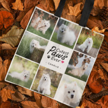 Modern Cutest Paws Ever Cute Pet Dog Photo Collage