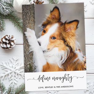 Modern Define Naughty Personalised Funny Pet Photo Holiday Card