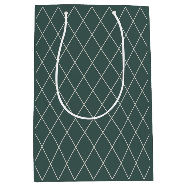 Modern Diagonal Pattern Gift Bag  (Front)