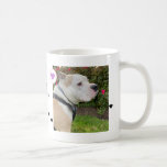 Modern Dog 2 Photos Hearts Name Coffee Mug<br><div class="desc">Modern coffee mug with 2 of your favourite photos,  decorative hearts,  paw print with your dog's name.</div>