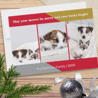 Modern Dog Cat Photo Pet Humour Christmas