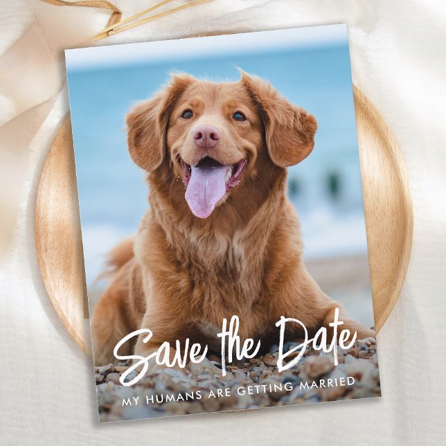 Modern Dog Wedding Custom Pet Photo Save The Date  Announcement Postcard (Creator Uploaded)