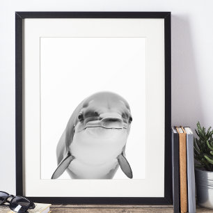 Modern Dolphin Portrait Black white Poster