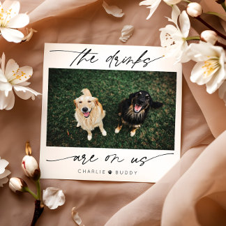 Modern Drink Are On Us Pet Photo Napkin