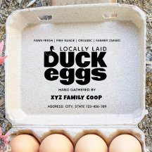 Modern Duck egg carton stamp