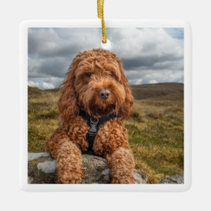Modern Elegant Dog Photo Ceramic Ornament