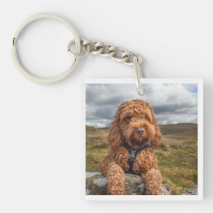 Modern Elegant Dog Photo Key Ring
