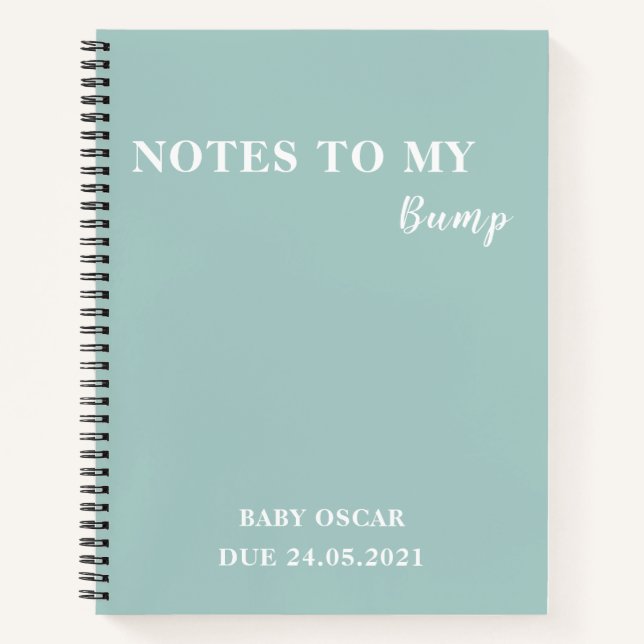 Modern Elegant Minimal Mint Notes To My Bump Notebook (Front)