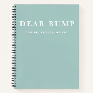 Modern Elegant Minimal Mint Pregnancy Gift Notebook