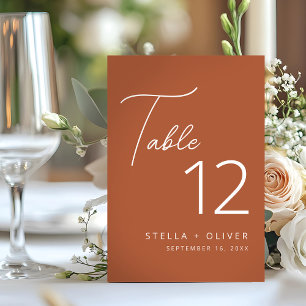 Modern Elegant Rustic Terracotta Script Wedding Table Number