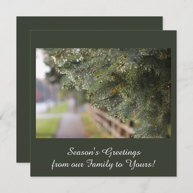 Modern, Elegant Shimmering Evergreen Needles Green Holiday Card (Front/Back)