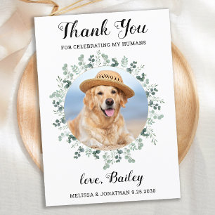 Modern Eucalyptus Greenery Pet Dog Photo Wedding Thank You Card