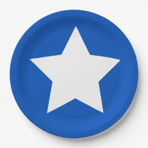 Modern Feminist Symbol Suffrage Paper Plate