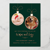 Modern Festive Pet Photos Christmas