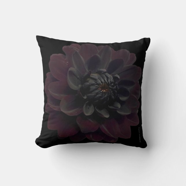 Modern Floral Black Dahlia Flower Cushion (Front)
