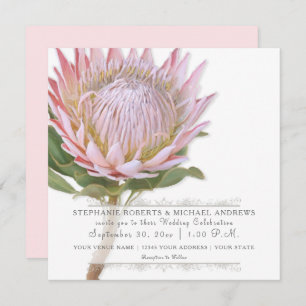 Modern Floral Elegant Simple Pink Protea Flower Invitation