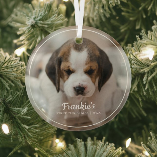 Modern Frame Pet's First Christmas Photo Ornament (Insitu)