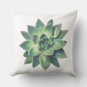 Modern Friendly Green Succulent Plant on White Cushion