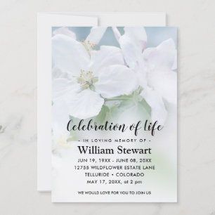 Modern Funeral   Celebration of Life White Flowers Invitation