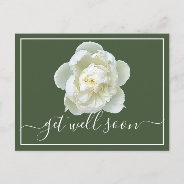 Modern Get Well Soon White Peony Botanical Floral  Postcard (Front)