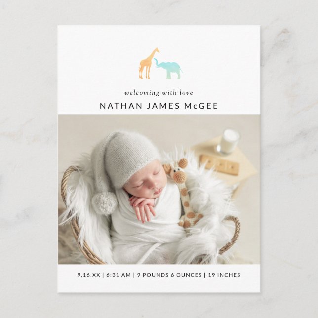 Modern Giraffe Elephant Photos Birth Announcement Postcard (Front)