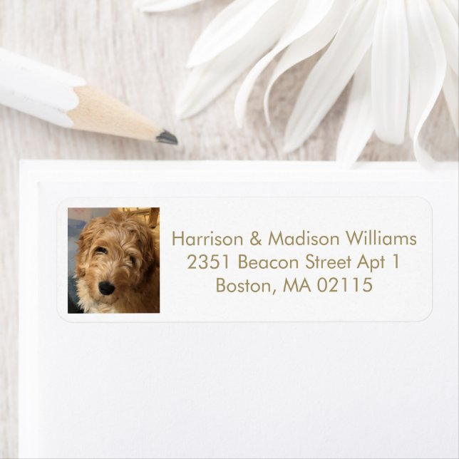 Modern gold white custom photo Return Address Label (Insitu)