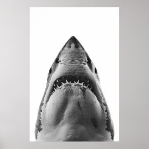 Modern Great White Shark Portrait  Poster
