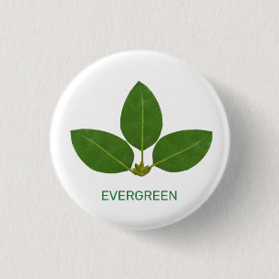 Modern Green Leaves on White 3 Cm Round Badge